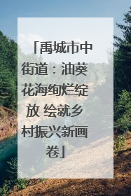 禹城市中街道：油葵花海绚烂绽放 绘就乡村振兴新画卷