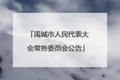 禹城市人民代表大会常务委员会公告