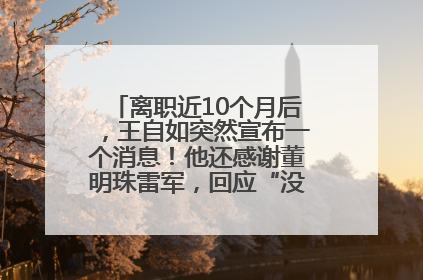 离职近10个月后，王自如突然宣布一个消息！他还感谢董明珠雷军，回应“没看过格力工资条”：真的不那么重要！