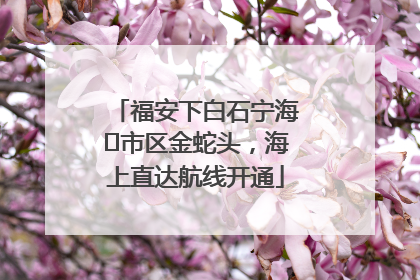 福安下白石宁海⇆市区金蛇头，海上直达航线开通