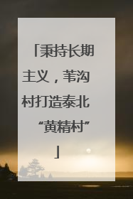 秉持长期主义，苇沟村打造泰北“黄精村”