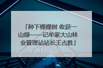 种下棵棵树 收获一山绿——记牟家大山林业管理站站长王占胜