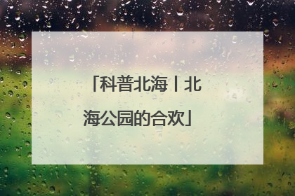 科普北海丨北海公园的合欢