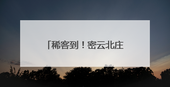稀客到！密云北庄镇首次发现国家二级保护鸟类凤头鹰