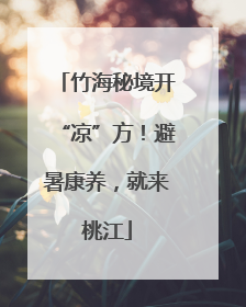 竹海秘境开“凉”方！避暑康养，就来桃江