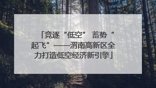 竞逐“低空” 蓄势“起飞”——渭南高新区全力打造低空经济新引擎