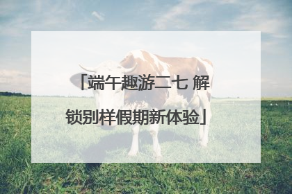 端午趣游二七 解锁别样假期新体验