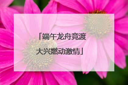 端午龙舟竞渡 大兴燃动激情
