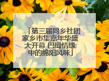第三届同乡社团家乡市集嘉年华盛大开幕 巴蜀情缘中的绵阳风味