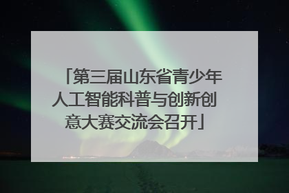 第三届山东省青少年人工智能科普与创新创意大赛交流会召开