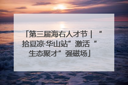 第三届海右人才节｜“拾夏凉·华山站”激活“生态聚才”强磁场