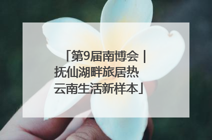 第9届南博会｜抚仙湖畔旅居热 云南生活新样本