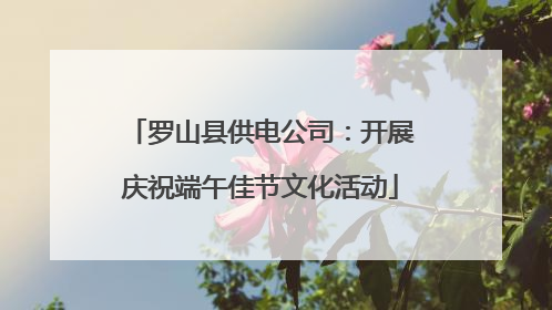 罗山县供电公司：开展庆祝端午佳节文化活动