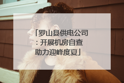 罗山县供电公司：开展机房自查 助力迎峰度夏
