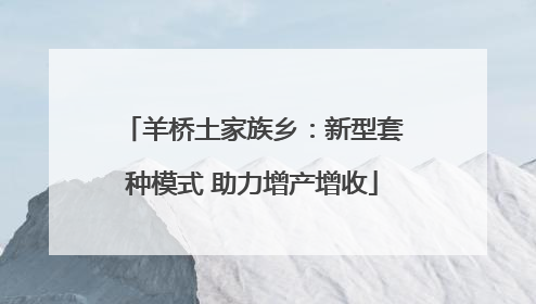 羊桥土家族乡：新型套种模式 助力增产增收