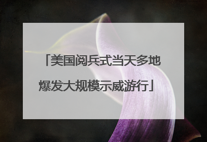 美国阅兵式当天多地爆发大规模示威游行