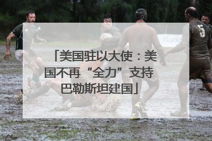 美国驻以大使：美国不再“全力”支持巴勒斯坦建国