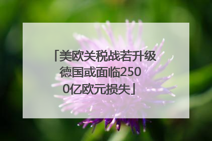 美欧关税战若升级 德国或面临2500亿欧元损失