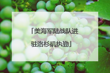 美海军陆战队进驻洛杉矶执勤