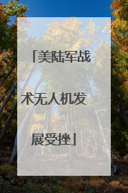 美陆军战术无人机发展受挫