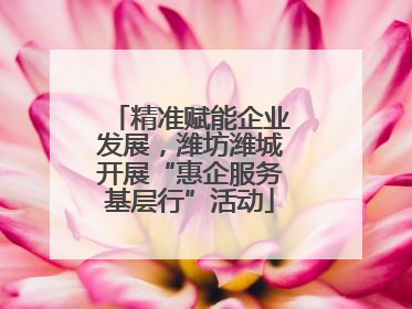 精准赋能企业发展，潍坊潍城开展“惠企服务基层行”活动