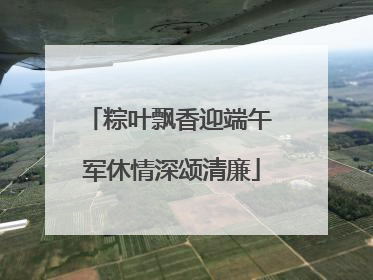 粽叶飘香迎端午 军休情深颂清廉