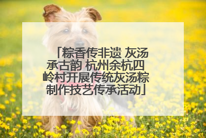 粽香传非遗 灰汤承古韵 杭州余杭四岭村开展传统灰汤粽制作技艺传承活动