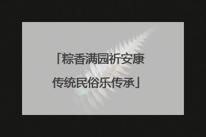 粽香满园祈安康 传统民俗乐传承