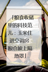 粮食收储里的科技范儿：玉米住进空调房 粮仓披上隔热罩