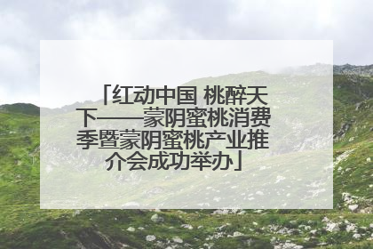 红动中国 桃醉天下——蒙阴蜜桃消费季暨蒙阴蜜桃产业推介会成功举办