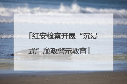 红安检察开展“沉浸式”廉政警示教育