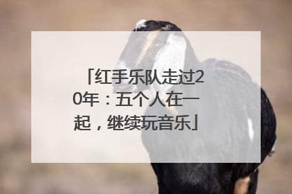 红手乐队走过20年：五个人在一起，继续玩音乐