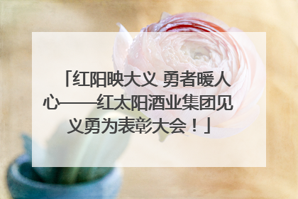 红阳映大义 勇者暖人心——红太阳酒业集团见义勇为表彰大会！