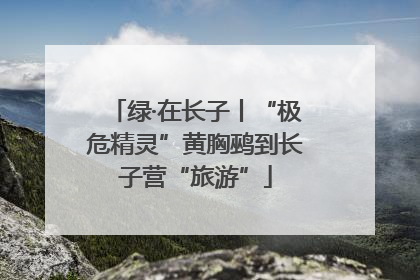 绿·在长子丨“极危精灵”黄胸鹀到长子营“旅游”