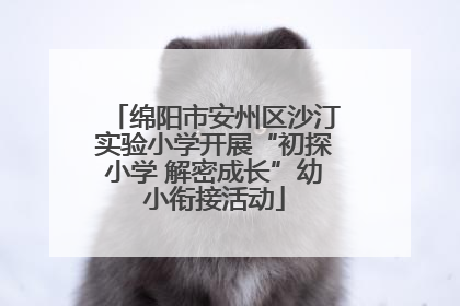 绵阳市安州区沙汀实验小学开展“初探小学 解密成长”幼小衔接活动