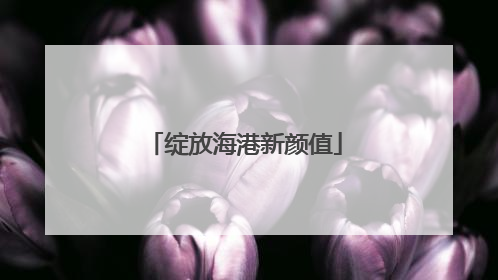 绽放海港新颜值