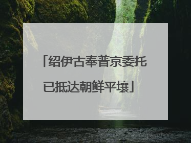 绍伊古奉普京委托已抵达朝鲜平壤