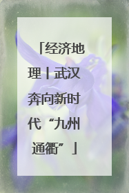 经济地理丨武汉奔向新时代“九州通衢”