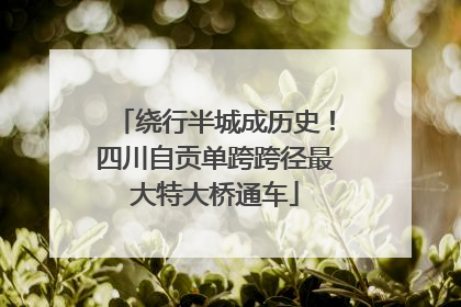 绕行半城成历史！四川自贡单跨跨径最大特大桥通车