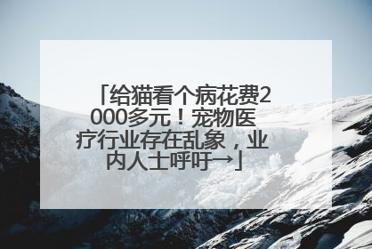给猫看个病花费2000多元！宠物医疗行业存在乱象，业内人士呼吁→