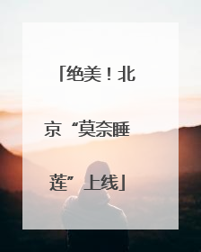 绝美！北京“莫奈睡莲”上线