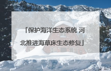 保护海洋生态系统 河北推进海草床生态修复