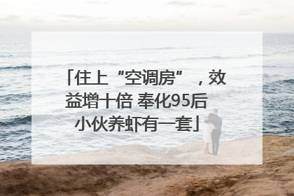 住上“空调房”，效益增十倍 奉化95后小伙养虾有一套