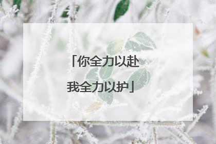 你全力以赴 我全力以护