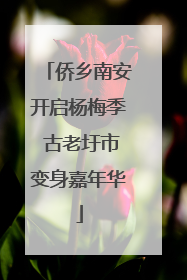 侨乡南安开启杨梅季 古老圩市变身嘉年华
