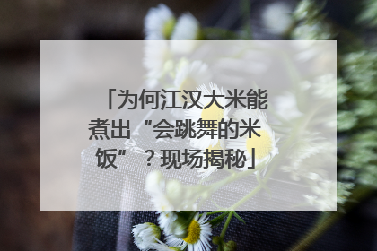 为何江汉大米能煮出“会跳舞的米饭”？现场揭秘