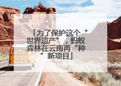 为了保护这个“世界遗产”，蚂蚁森林在云南再“种”新项目
