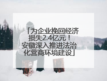 为企业挽回经济损失2.4亿元！安徽深入推进法治化营商环境建设