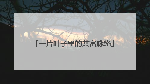 一片叶子里的共富脉络
