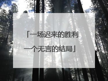一场迟来的胜利 一个无言的结局